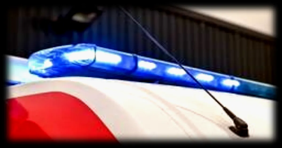 Un couple meurt pris au piège dans sa voiture lors d'inondations en Argentine