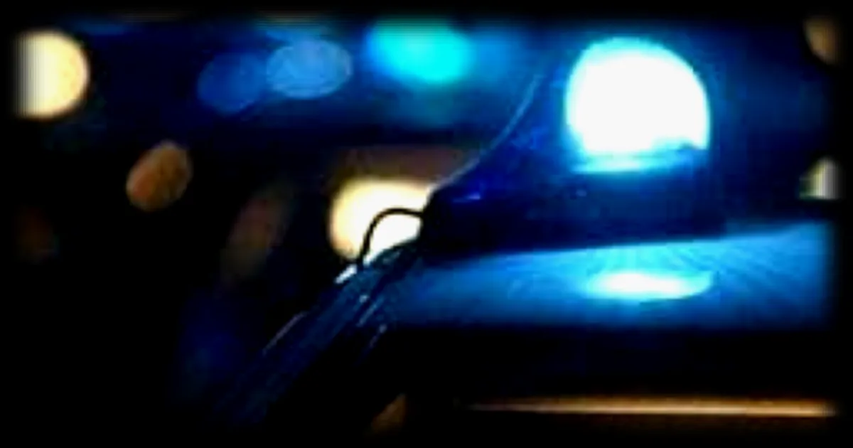 Un couple retrouvé mort dans l'Aude : leur fils mis en examen pour double homicide