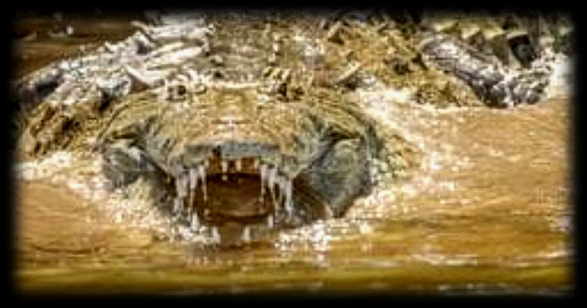 Un crocodile de 4 mètres s'introduit dans un hôtel au Zimbabwe