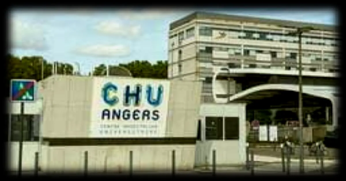 Un deuil impossible : un fœtus mort-né incinéré sans en informer la mère