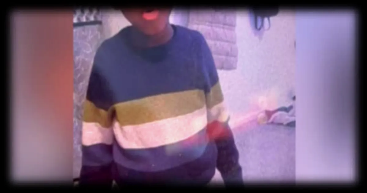 Un dispositif de recherche important déployé pour retrouver Madoua, 4 ans, atteint de trouble autistique et disparu à Neuilly-Plaisance