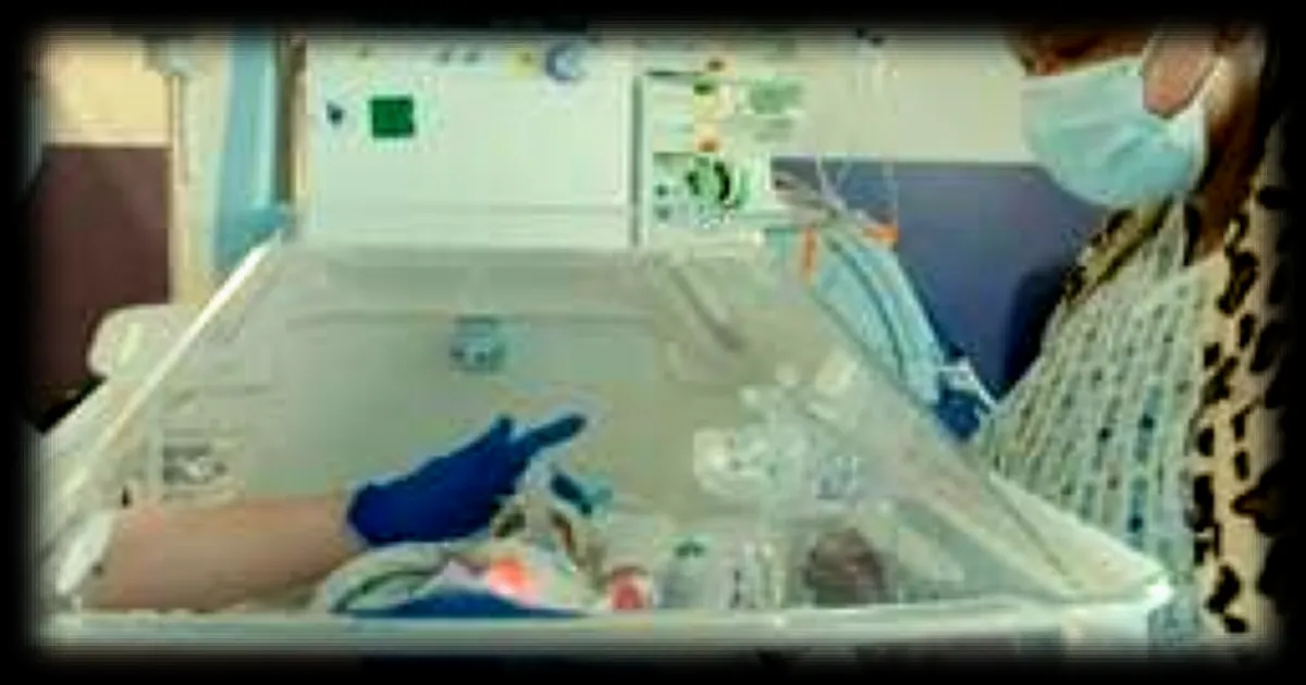 Un documentaire poignant, "L’hôpital des premiers jours", met en lumière le quotidien de la néonatalogie sur France 2