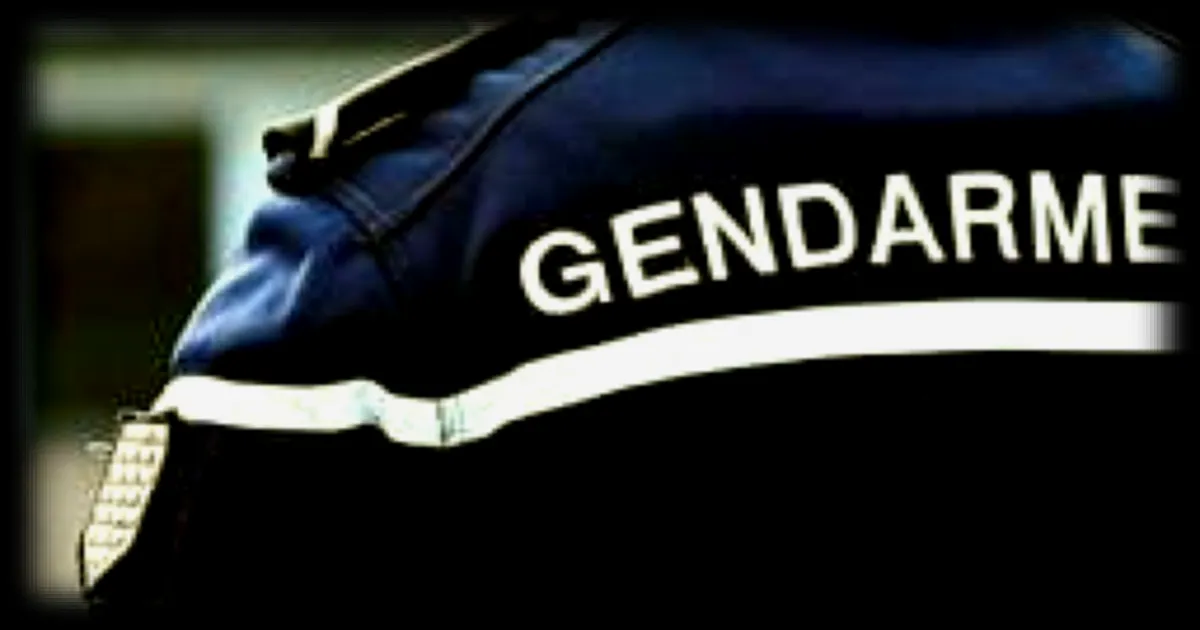 Un élève interpellé pour port d’arme dans un collège des Côtes-d’Armor