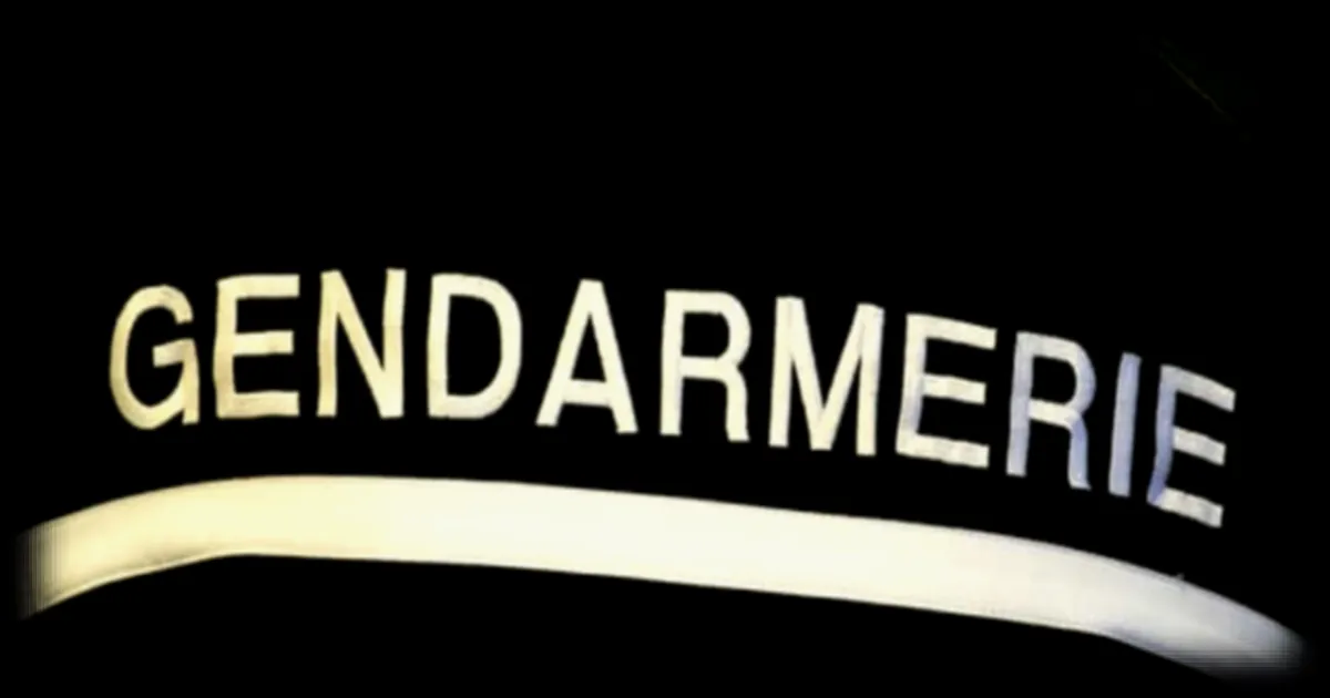 Un enfant de 10 ans hospitalisé après avoir été gravement mordu par deux chiens dans l'Oise