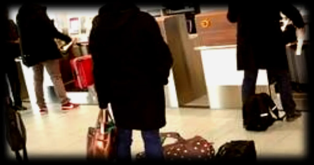 Un enfant rentre par erreur dans un scanner à bagages à rayons X à l'aéroport de Nantes Atlantique