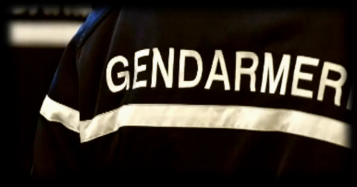Un gendarme meurt percuté par un véhicule en Meurthe-et-Moselle