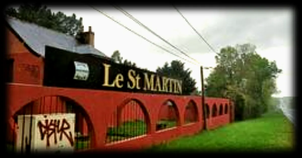 Un homme abattu d'une balle dans la tête à Saint-Martin-du-Fouilloux : procès en cour criminelle pour son ami