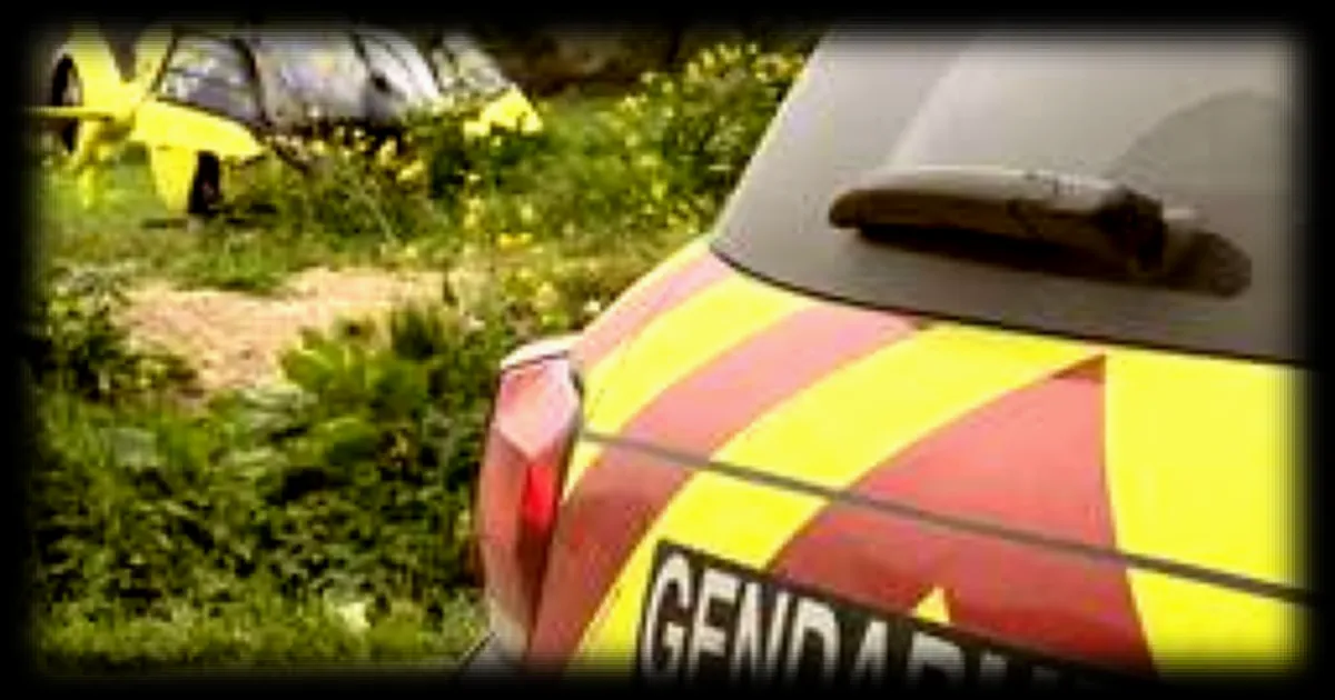 Un homme de 76 ans meurt suite à une chute du toit à Paimpol