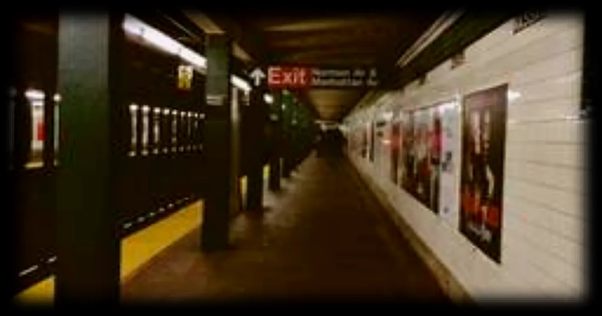 Un homme de 83 ans decede apres avoir ete pousse sur les rails du metro a New York