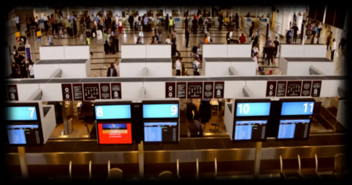 Un homme interpellé à l'aéroport du Cap avec 150 scorpions venimeux dans ses bagages