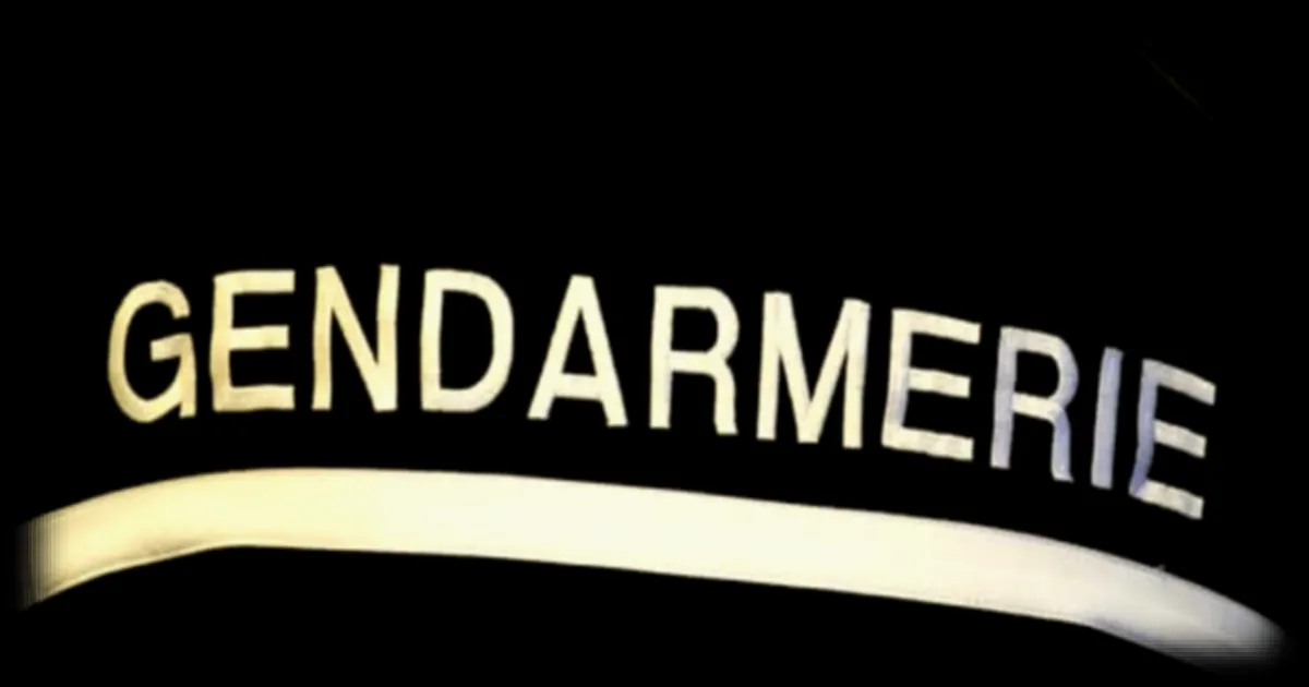 Un homme interpellé pour un double féminicide dans la Vienne