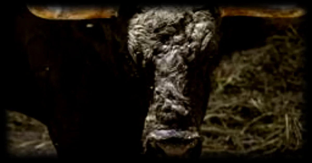 Un homme meurt après avoir été encorné par un taureau lors d'une fête en Espagne