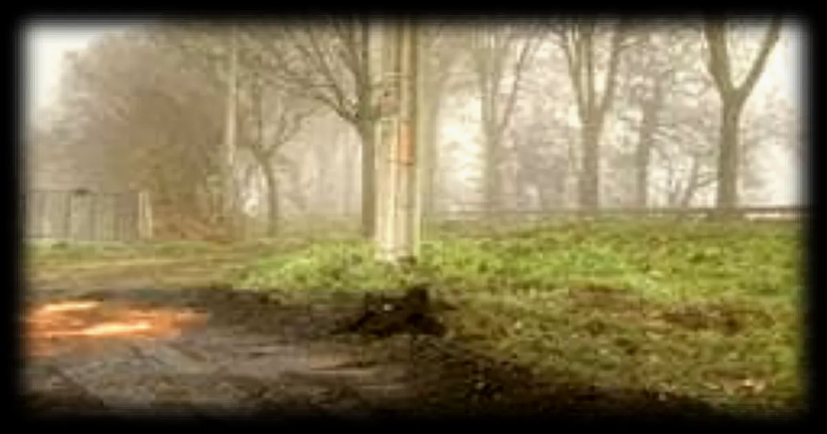 Un homme meurt dans un accident de la route en Sarthe