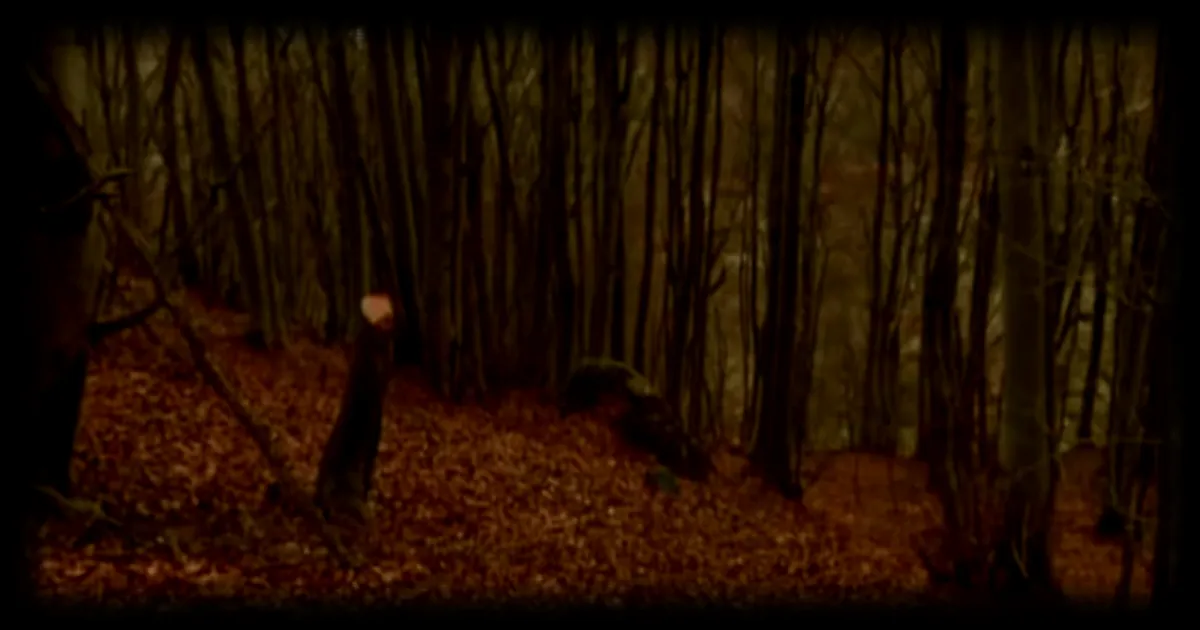 Un homme survit cinq jours au fond d'un ravin après un accident de voiture en Ardèche