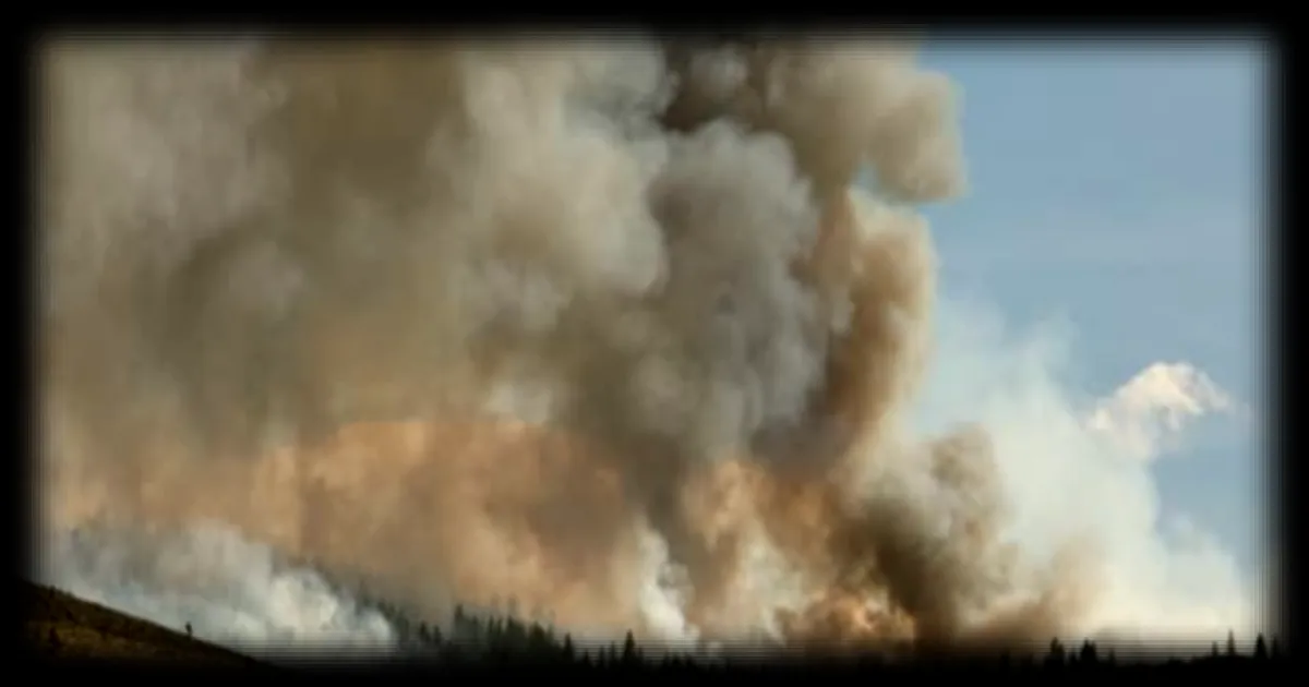 Un incendie de forêt aux États-Unis menace la ville de Reno, 42.000 personnes évacuées