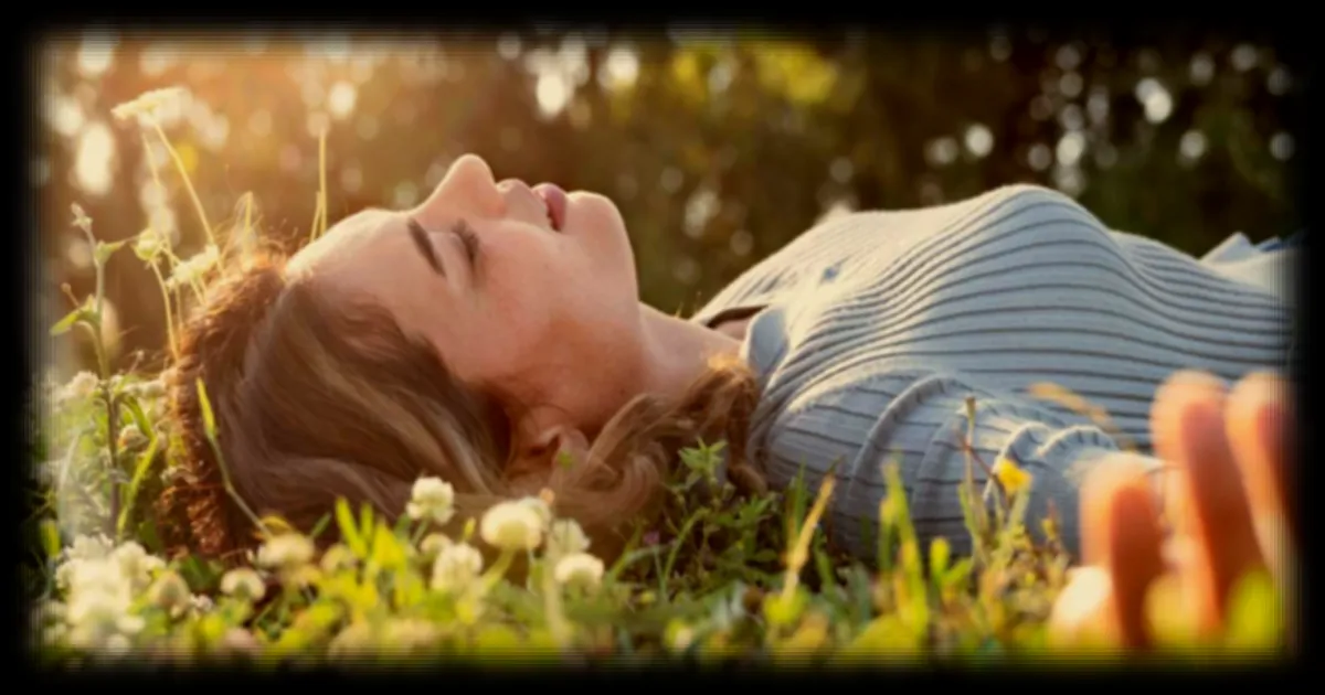 Un jardin de banlieue abrite 2 673 espèces : ce que révèle l’étude d’une zoologue britannique