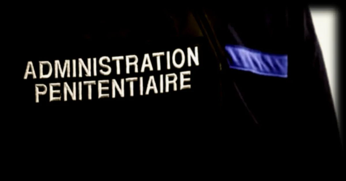 Un jeune homme de 19 ans mis en examen après la découverte d'un détenu ligoté et blessé dans un bois près de Besançon