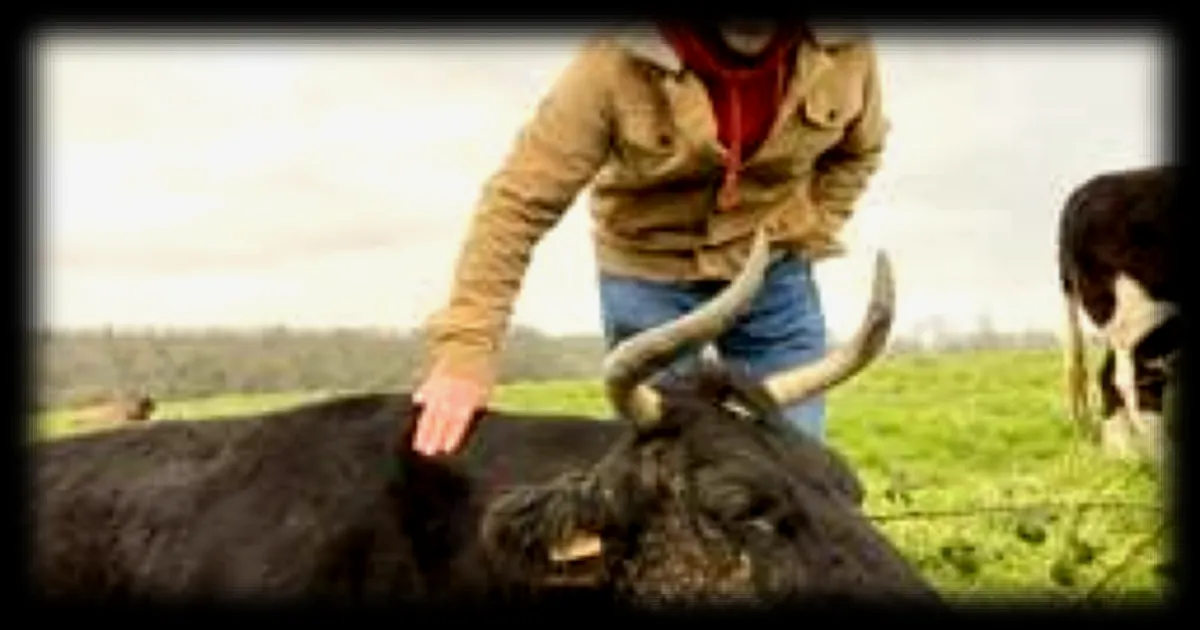 Un joueur de D4, agriculteur et tête de liste, se lance dans les Municipales