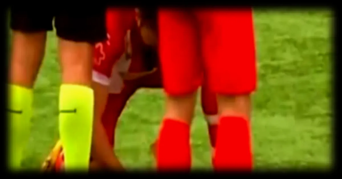 Un joueur réanime une mouette blessée en plein match de football amateur en Turquie