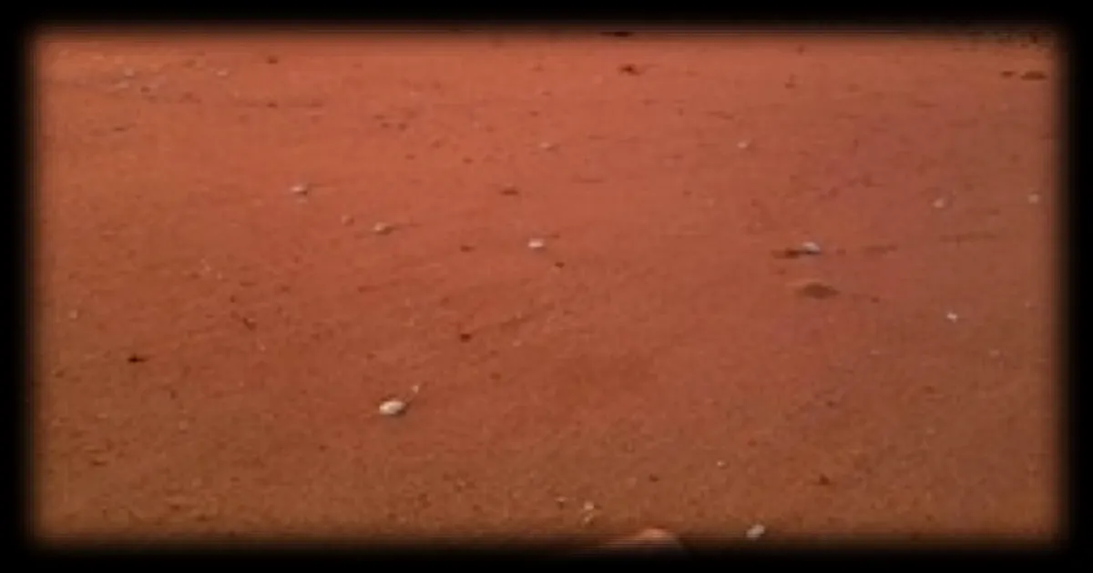 Un message oublié pendant 53 ans retrouvé par hasard aux États-Unis : l’émouvante histoire d’une bouteille lancée à la mer