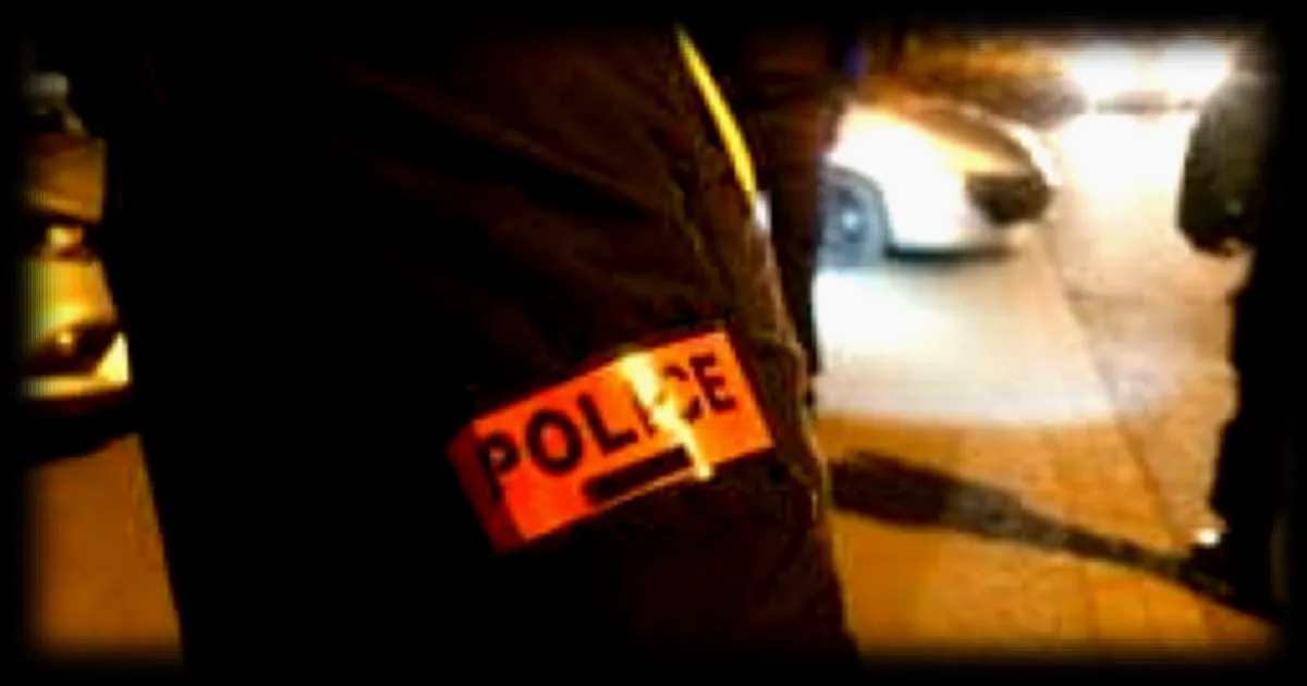 Un militaire arrêté après avoir braqué un mortier sur les forces de l'ordre lors d'un rassemblement automobile illégal