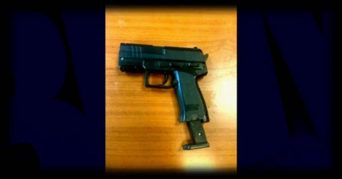 Un mineur placé en garde à vue après avoir mis en joue des policiers avec un pistolet à billes dans le Val-de-Marne