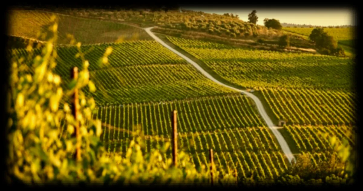 Un nouveau réservoir de magma découvert en Italie, est-il susceptible de provoquer une mégaéruption ?