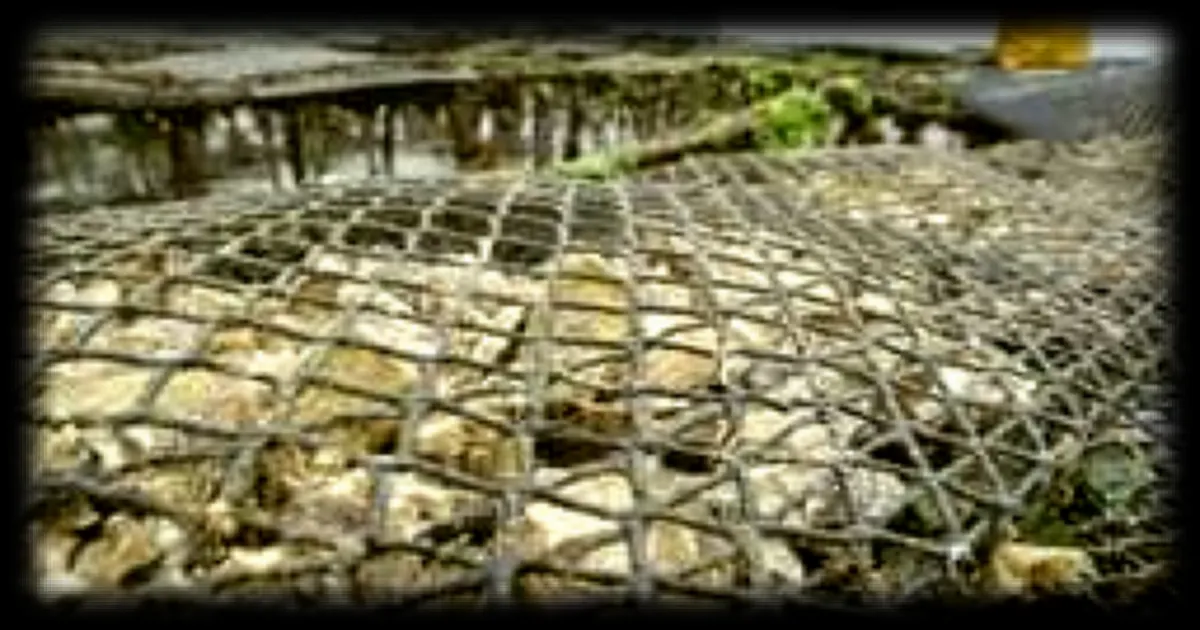 Un ostréiculteur de 48 ans perd la vie au large de Paimpol : l'enquête est ouverte