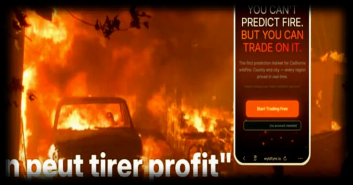 Un pari risqué : l’émergence d’un site de paris en ligne sur les incendies en Californie suscite la polémique aux États-Unis
