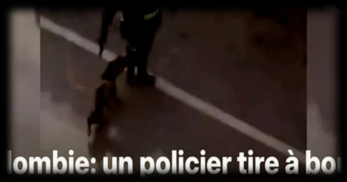 Un policier colombien tire à bout portant sur un chien, provoquant la colère des habitants