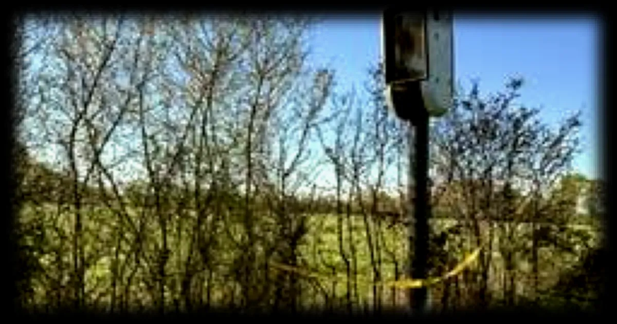 Un radar automatique endommagé par un incendie volontaire en Maine-et-Loire