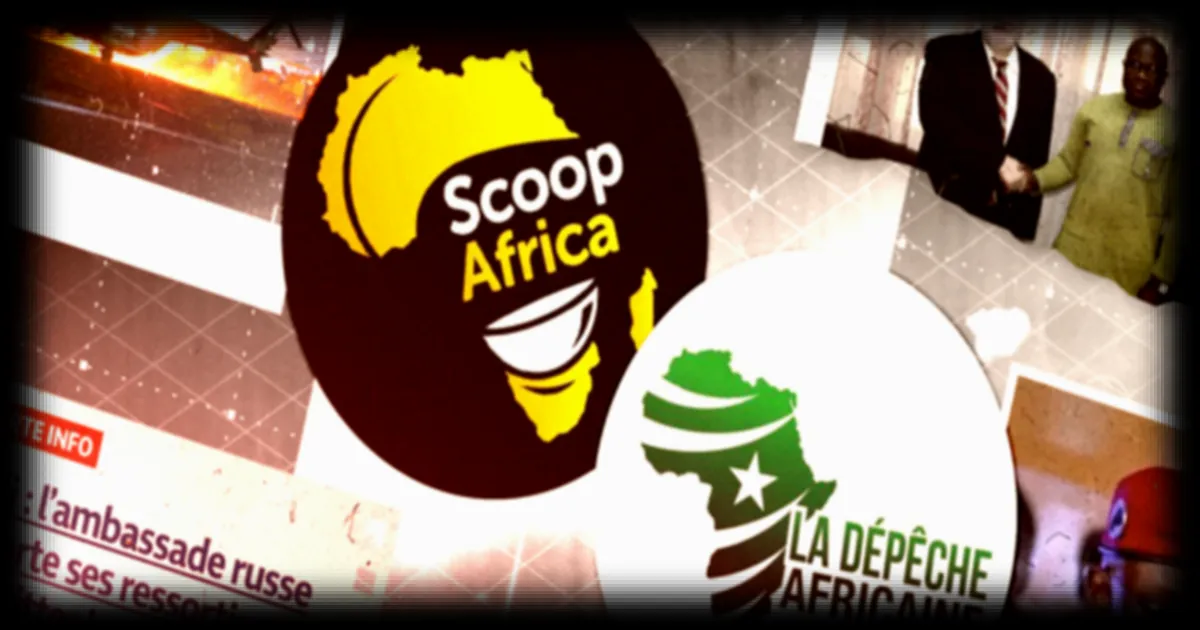 Un réseau de désinformation cible les pays de l'Alliance des États du Sahel selon France 24