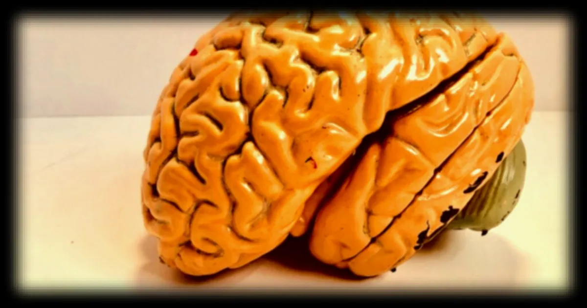 Un robot autonome de la taille d’un grain de riz capable de cibler les tumeurs du cerveau