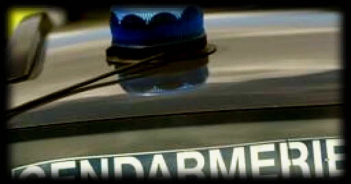 Un sexagénaire ivre menace des adolescents et leur beau-père avec une hachette suite à un différend sur le volume de la musique