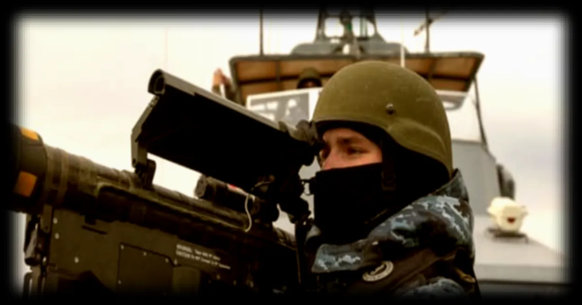 Un soutien à la fourniture d'armes à Kiev en baisse : moins de 50% des Français sont favorables