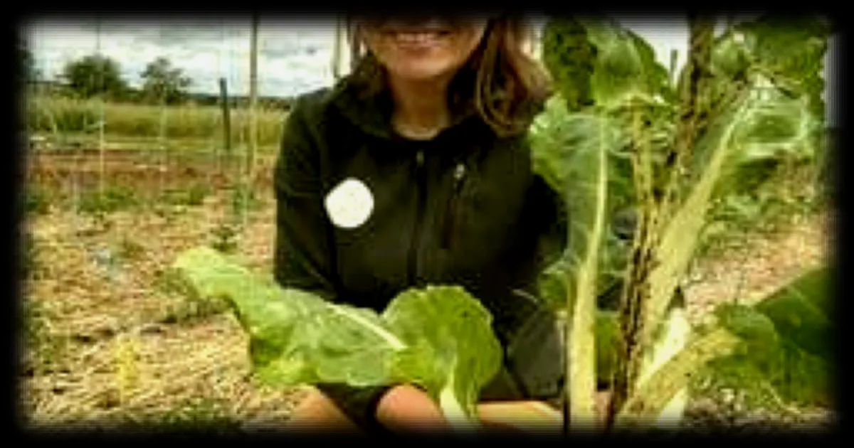 Un spécialiste du jardinage répondra en direct le 5 juin sur la protection des potagers face à la canicule