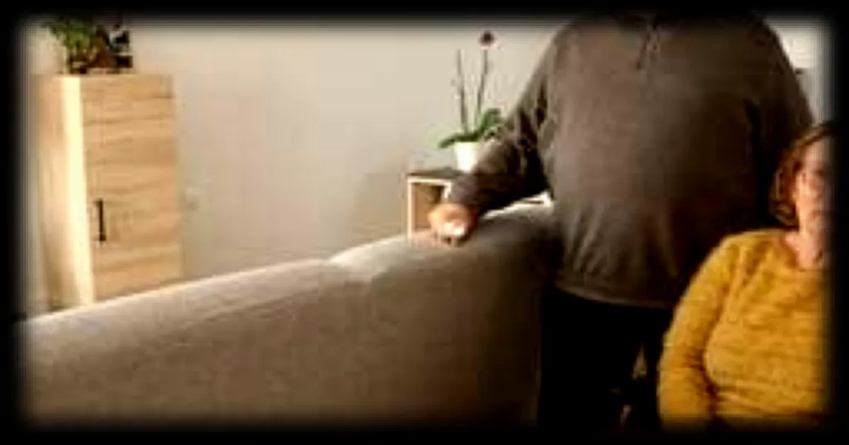 Un village seniors innovant à Châtelaudren-Plouagat : une alternative aux Ehpad en Bretagne