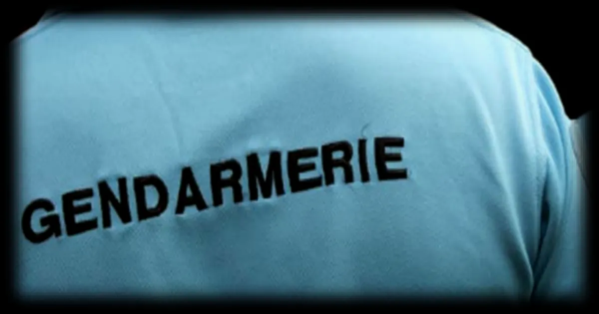 Un voisin tué à coups de nerf de bœuf sur l'île d'Oléron : le suspect mis en examen pour meurtre