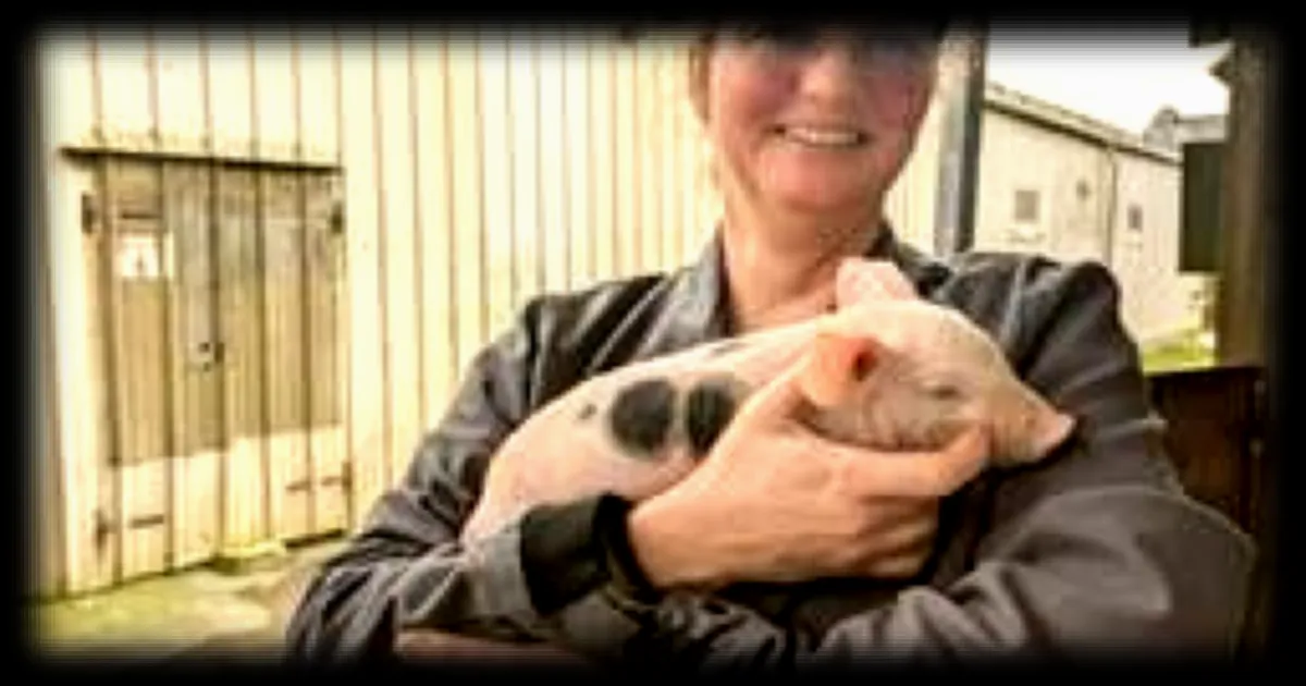 Une ancienne infirmière se reconvertit dans l'élevage porcin pour une meilleure qualité de vie