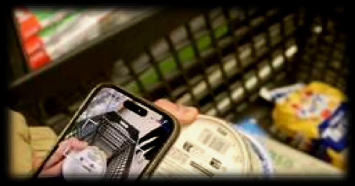 Une application de scan d'aliments pour les femmes enceintes : Thomas Guien facilite les courses pendant la grossesse