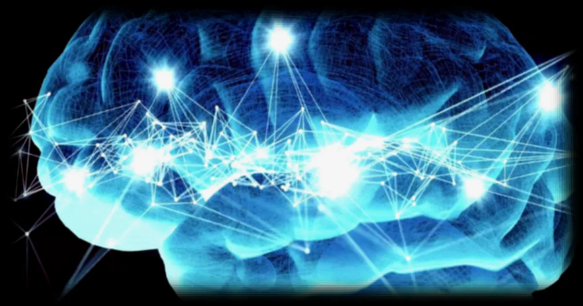 Une avance scientifique majeure : la lumière permet une exploration inédite du cerveau humain