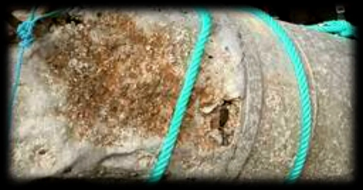 Une bombe allemande de la Seconde Guerre mondiale découverte au large de la Normandie