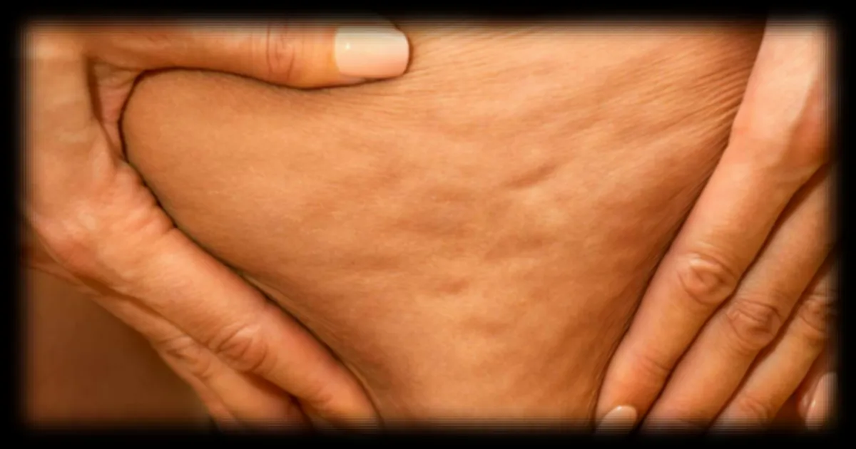 Une enzyme des cellules graisseuses révèle une fonction secrète clé dans la compréhension de l'obésité