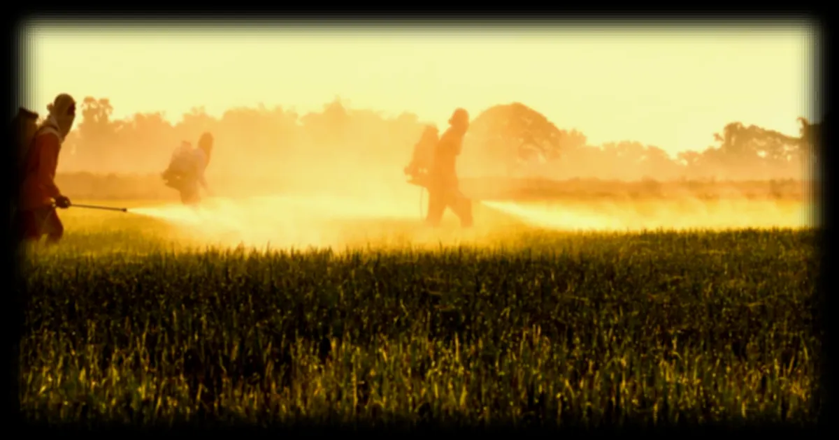 Une étude révèle l'effet cocktail des pesticides sur la santé : des risques confirmés par la science