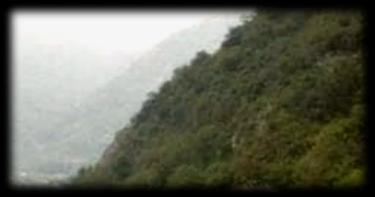 Une étudiante de 21 ans remporte largement les élections municipales 2026 dans une commune des Pyrénées