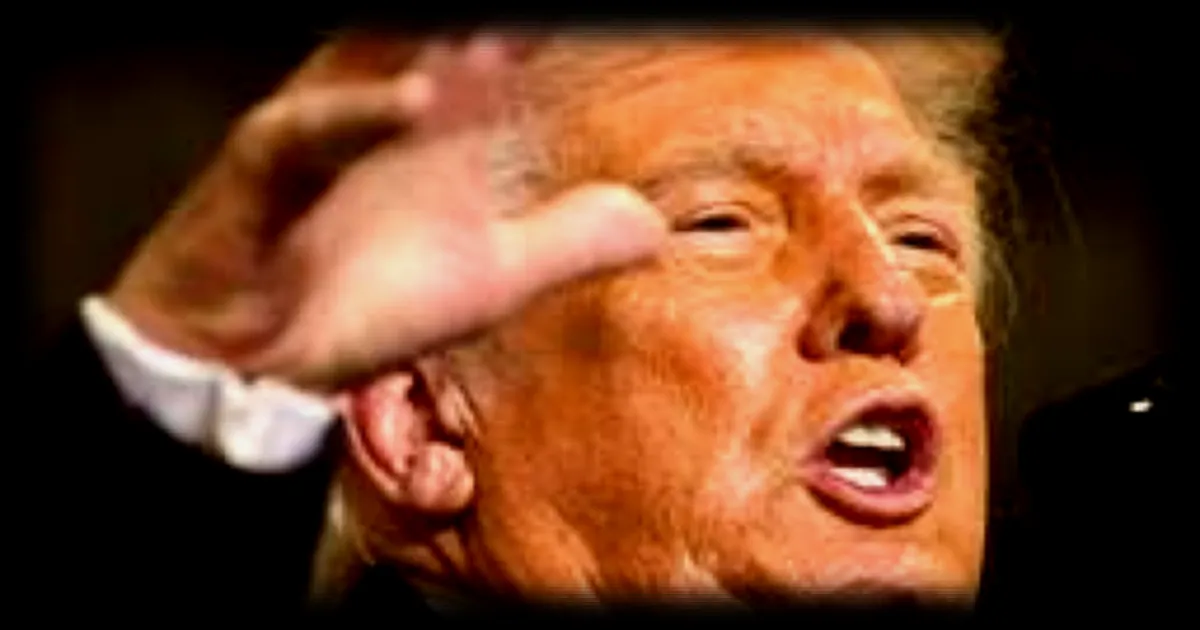 Une fan de 79 ans s'évanouit lors d'un discours de Donald Trump : sa réaction surprenante