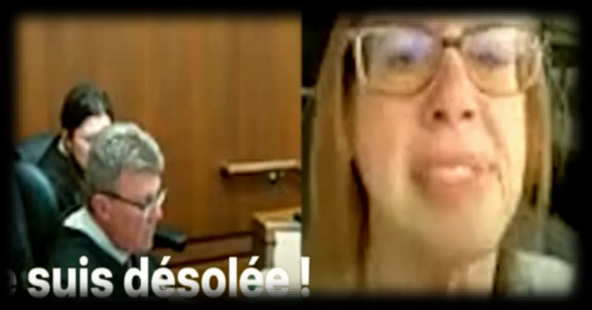 Une femme ment à un juge et conduit durant une visioconférence au tribunal : le récit insolite d'une passagère