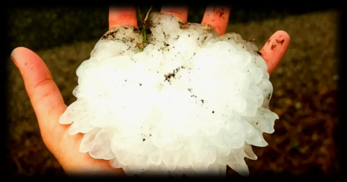 Une « grêle monstre » de 15 cm frappe l'Illinois, battant le record des précédents