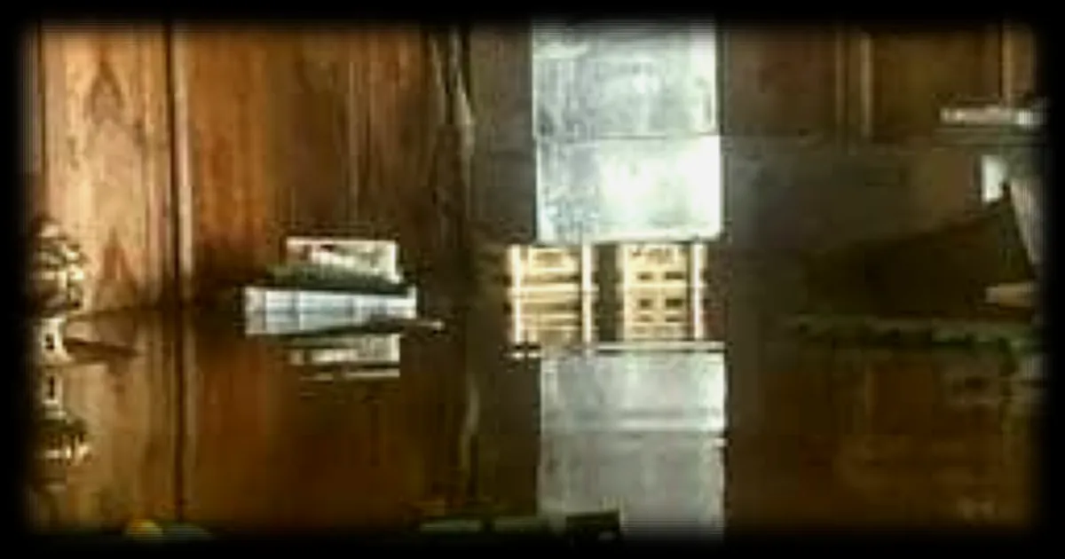 Une guinguette sous l'eau : Caparica raconte son quotidien difficile