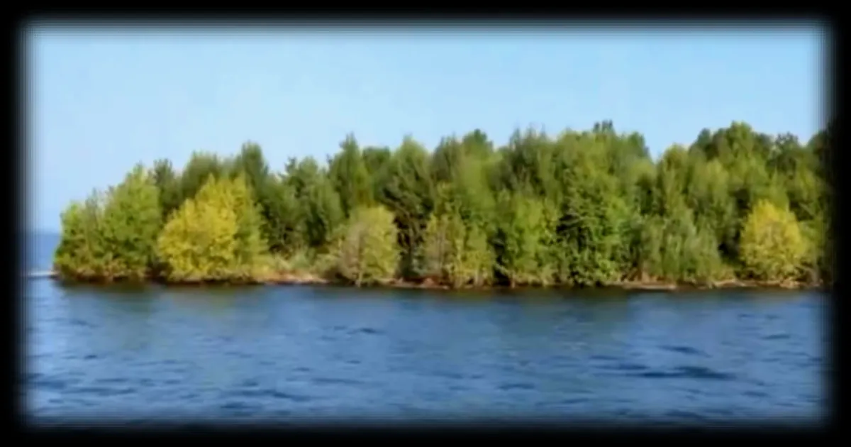 Une île végétale éphémère intrigue sur le lac Williston au Canada